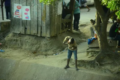 DSC_7772 (Large).JPG